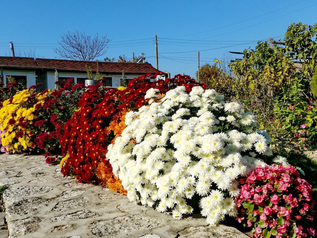 Kosta Bungalows Bŭlgarevo Εξωτερικό φωτογραφία